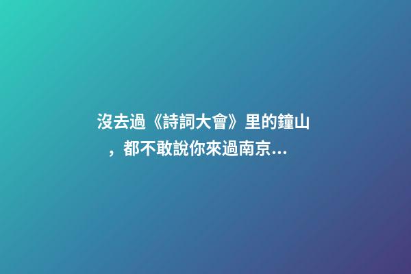 沒去過《詩詞大會》里的鐘山，都不敢說你來過南京！